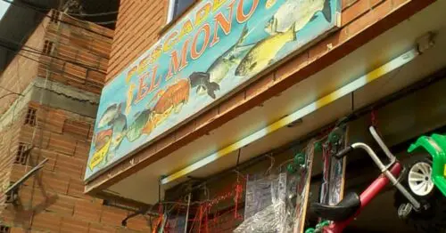 PESCADERIA EL MONO BOGOTÁ PESCADERIA EL MONO BOGOTÁ